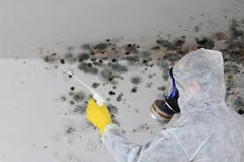 Best Industrial Mold Remediation  in Saddle Rock, NY